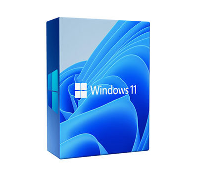Windows 11 Professional, Microsoft Product Key