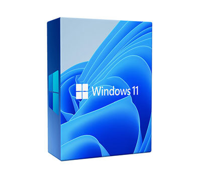 windows 11 pro